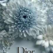 ヒメ日記 2026/04/03 09:31 投稿 さつき クラブルージュ