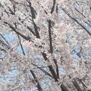 ヒメ日記 2026/04/29 15:42 投稿 ティナ Spanky（スパンキー）