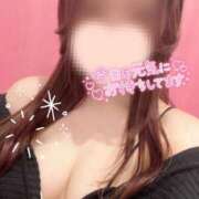 ヒメ日記 2025/04/17 12:23 投稿 わか 手コキガールズコレクション