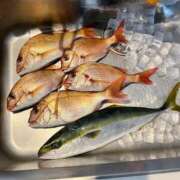 ヒメ日記 2024/12/13 17:19 投稿 あすか FORTE