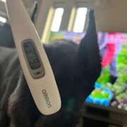 ヒメ日記 2024/12/20 16:29 投稿 あすか FORTE