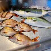 ヒメ日記 2025/01/05 20:49 投稿 あすか FORTE