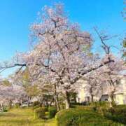 ヒメ日記 2025/04/10 10:39 投稿 あすか FORTE