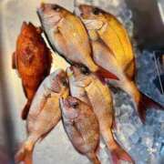 ヒメ日記 2025/05/16 17:09 投稿 あすか FORTE