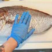 ヒメ日記 2025/06/26 16:29 投稿 あすか FORTE