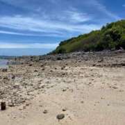 ヒメ日記 2025/08/20 05:49 投稿 あすか FORTE