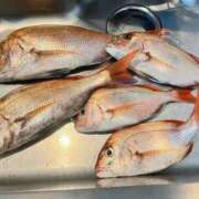 ヒメ日記 2025/09/21 16:29 投稿 あすか FORTE