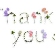 ヒメ日記 2026/03/19 18:29 投稿 あすか FORTE