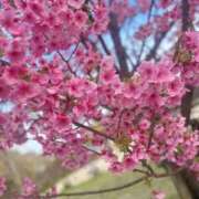 ヒメ日記 2026/03/24 15:39 投稿 あすか FORTE