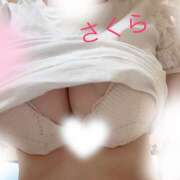 ヒメ日記 2025/05/22 09:16 投稿 さくら 汁婆クラブ