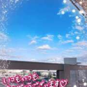 ヒメ日記 2024/12/17 14:30 投稿 ぼたん サンクチュアリ(上野)