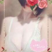 ヒメ日記 2025/01/12 09:57 投稿 ぼたん サンクチュアリ(上野)