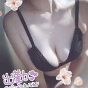 ヒメ日記 2025/03/22 09:45 投稿 ぼたん サンクチュアリ(上野)