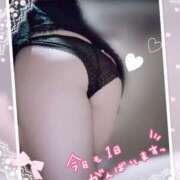 ヒメ日記 2025/03/26 10:35 投稿 ぼたん サンクチュアリ(上野)