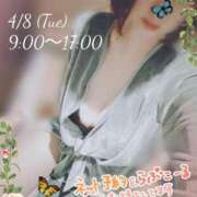 ヒメ日記 2025/04/08 09:31 投稿 ぼたん サンクチュアリ(上野)