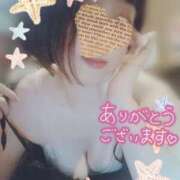 ヒメ日記 2025/04/09 21:47 投稿 ぼたん サンクチュアリ(上野)