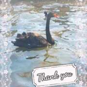 ヒメ日記 2025/04/11 00:10 投稿 ぼたん サンクチュアリ(上野)