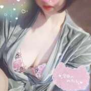 ヒメ日記 2025/04/11 13:26 投稿 ぼたん サンクチュアリ(上野)