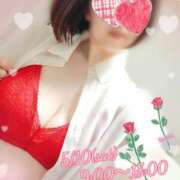 ヒメ日記 2025/05/10 10:29 投稿 ぼたん サンクチュアリ(上野)