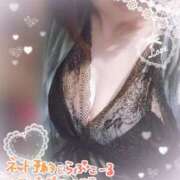 ヒメ日記 2025/05/26 10:43 投稿 ぼたん サンクチュアリ(上野)