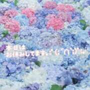 ヒメ日記 2025/06/11 10:16 投稿 ぼたん サンクチュアリ(上野)