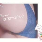 ヒメ日記 2025/07/06 13:23 投稿 ぼたん サンクチュアリ(上野)