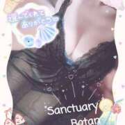 ヒメ日記 2025/08/05 23:58 投稿 ぼたん サンクチュアリ(上野)