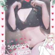 ヒメ日記 2025/08/07 11:26 投稿 ぼたん サンクチュアリ(上野)