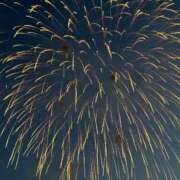 ヒメ日記 2025/08/11 18:19 投稿 ぼたん サンクチュアリ(上野)