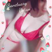 ヒメ日記 2025/09/02 10:05 投稿 ぼたん サンクチュアリ(上野)