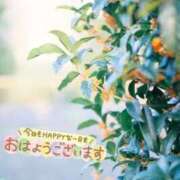 ヒメ日記 2025/10/08 09:44 投稿 ぼたん サンクチュアリ(上野)