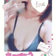 ヒメ日記 2025/11/15 17:27 投稿 ぼたん サンクチュアリ(上野)