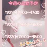 ヒメ日記 2025/11/18 12:39 投稿 ぼたん サンクチュアリ(上野)