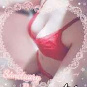 ヒメ日記 2025/12/01 13:41 投稿 ぼたん サンクチュアリ(上野)