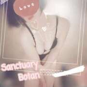 ヒメ日記 2025/12/03 11:15 投稿 ぼたん サンクチュアリ(上野)