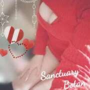 ぼたん お部屋IN☆ サンクチュアリ(上野)