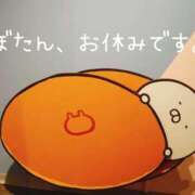 ぼたん 急遽、本日からお休みです📢 サンクチュアリ(上野)