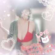 ヒメ日記 2025/12/25 08:48 投稿 ぼたん サンクチュアリ(上野)