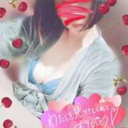 ヒメ日記 2025/12/29 11:32 投稿 ぼたん サンクチュアリ(上野)