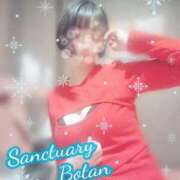 ヒメ日記 2026/01/08 17:51 投稿 ぼたん サンクチュアリ(上野)