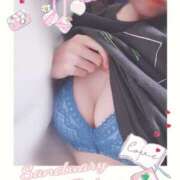 ヒメ日記 2026/01/17 15:22 投稿 ぼたん サンクチュアリ(上野)