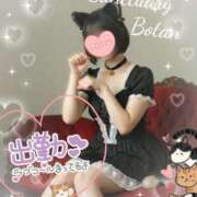 ぼたん 🐱🐱🐱🫶 サンクチュアリ(上野)