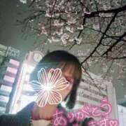 ヒメ日記 2026/02/26 09:41 投稿 ぼたん サンクチュアリ(上野)