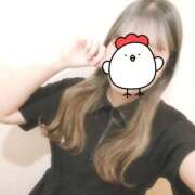 ヒメ日記 2025/05/14 00:52 投稿 いつき 町田人妻城