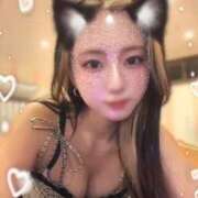 ヒメ日記 2025/11/10 06:46 投稿 みかさ マリン宇都宮店