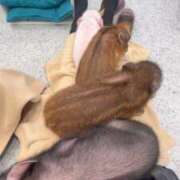 ヒメ日記 2025/11/23 17:27 投稿 みかさ マリン宇都宮店