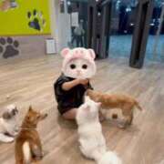 ヒメ日記 2025/12/09 15:06 投稿 みかさ マリン宇都宮店