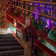 ヒメ日記 2025/12/30 14:46 投稿 みかさ マリン宇都宮店