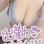 ヒメ日記 2025/09/13 10:54 投稿 みすず 群馬伊勢崎ちゃんこ