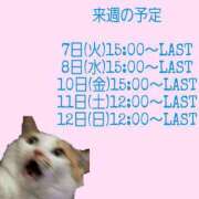 ヒメ日記 2023/11/02 10:01 投稿 るる Fの法則